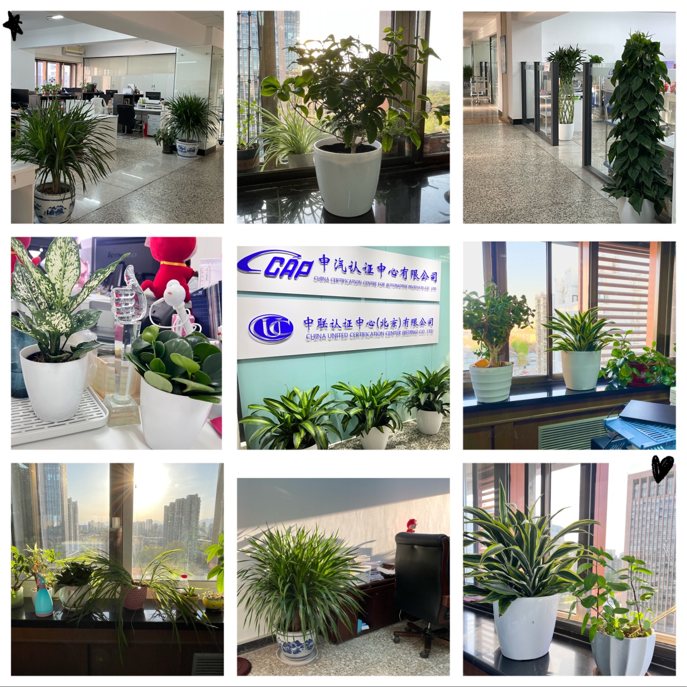 54102eeeabfb478189427441a44cf13