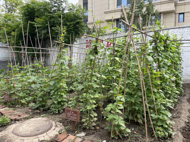 C:/Users/lenovo/AppData/Local/Temp/picturecompress_20220706173331/output_1.jpgoutput_1 C:/Users/lenovo/AppData/Local/Temp/picturecompress_20220706173331/output_1.jpgoutput_1