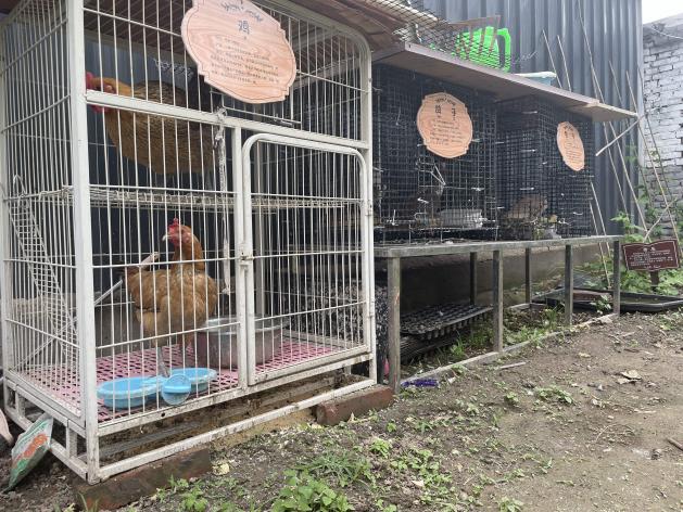 C:/Users/lenovo/AppData/Local/Temp/picturecompress_20220706173339/output_1.jpgoutput_1 C:/Users/lenovo/AppData/Local/Temp/picturecompress_20220706173339/output_1.jpgoutput_1